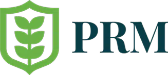 AIP Logo